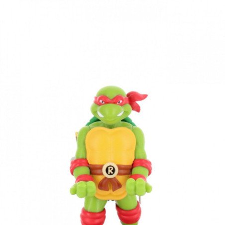 Porte Accessoires Tortues Ninja - Raphael