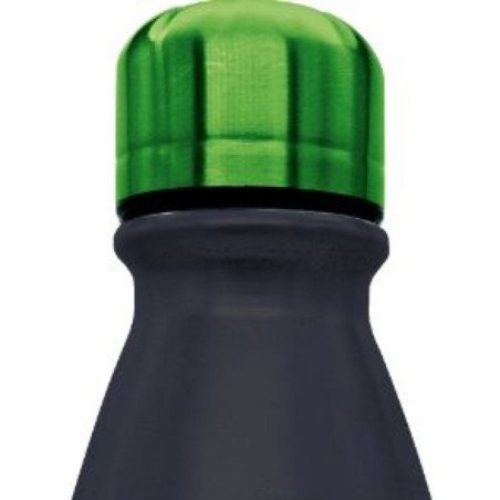 Bouteille Aluminium Minecraft Spirit