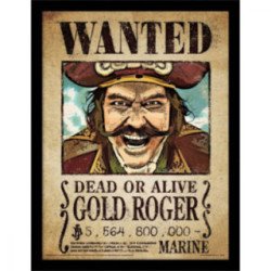Cadre One Piece Wanted - Gold Roger