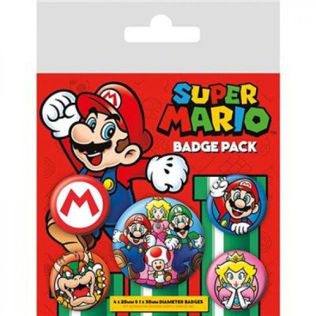 Pin's Super Mario x5