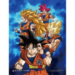 Cadre 3D Lenticulaire - Dragon ball Z Saiyans