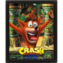 Cadre 3D Lenticulaire - Crash Bandicoot