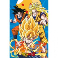 Poster Dragon Ball Z Team1 - 5