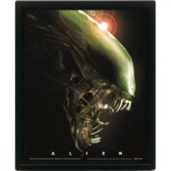 Cadre 3D Lenticulaire - Alien