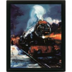 Cadre 3D Lenticulaire - Harry Potter Poudlard Express