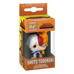 My Hero Academia Todoroki