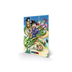 Tableau Bois Dragon Ball - 40x20Cm