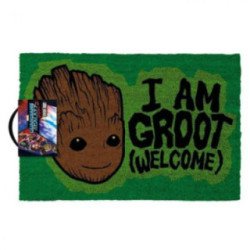Paillasson Groot