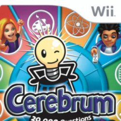 Cerebrum