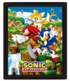 Cadre 3D Lenticulaire - Sonic
