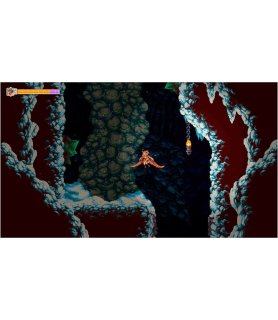 Owlboy Edition limité
