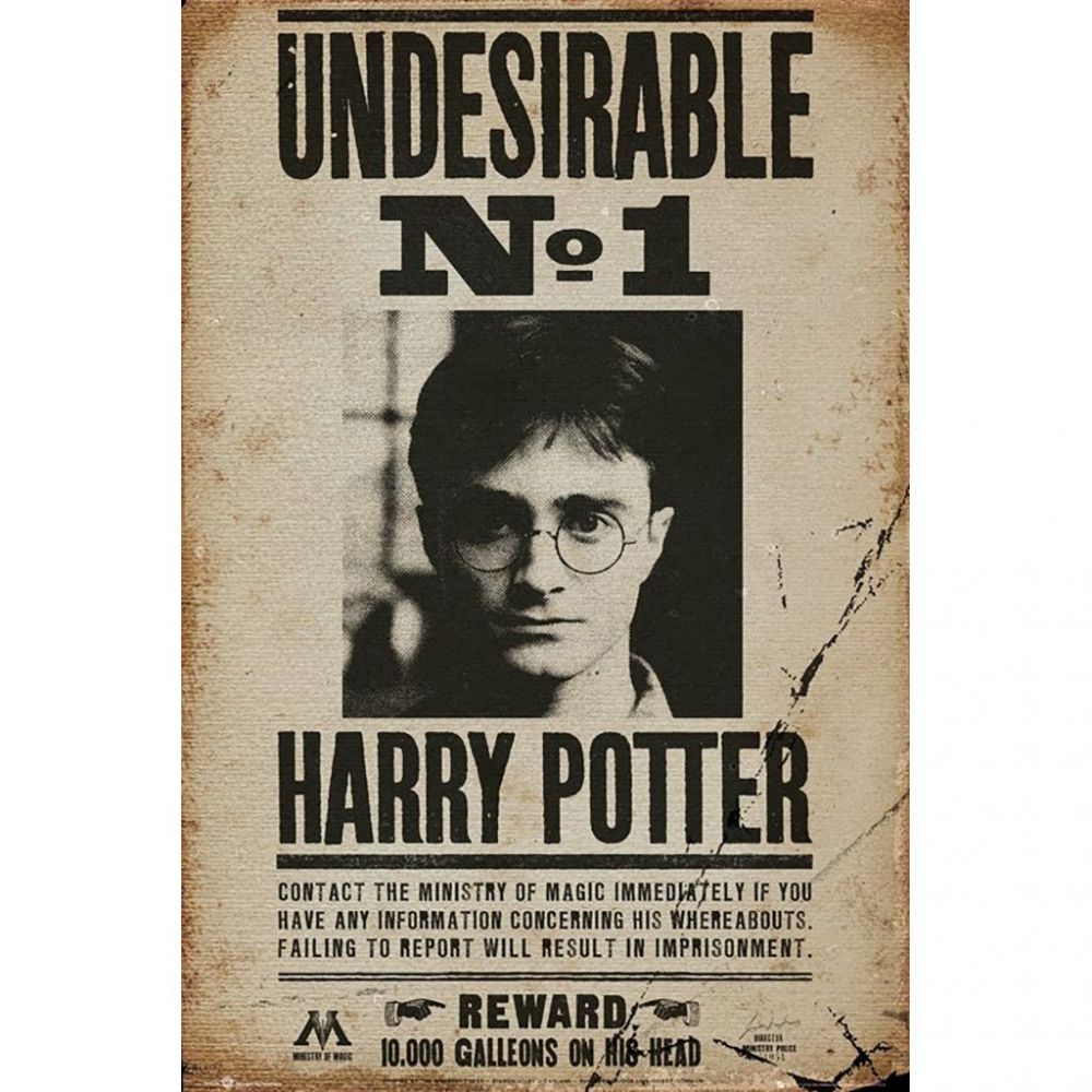 poster-harry-potter-reward-bdi-herault-je-console-informatique-jeux-vid-o-pop-culture