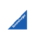RAVENSBURGER